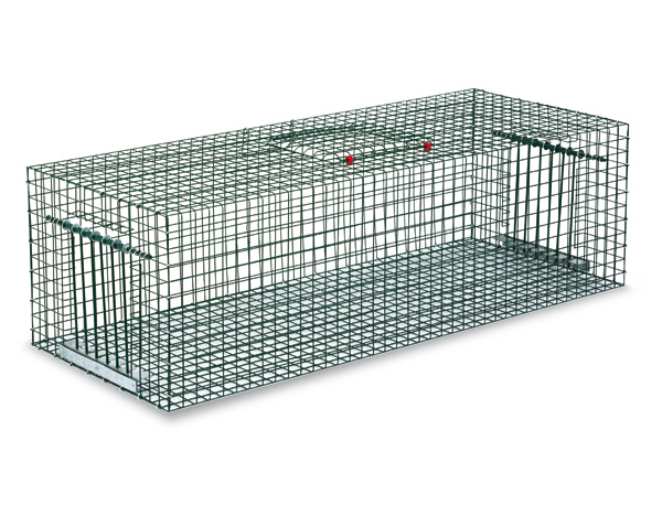 JAULA GRANDE 2 ENTRADAS